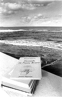 Vista desde Punta Brava